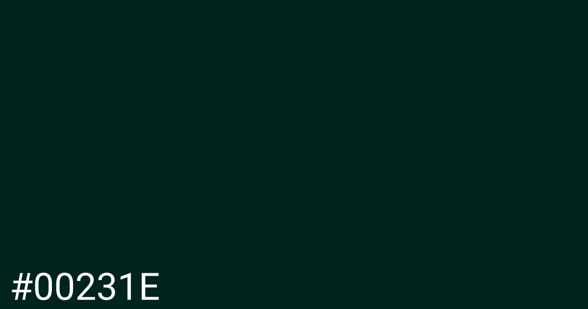 Hex color #00231e graphic