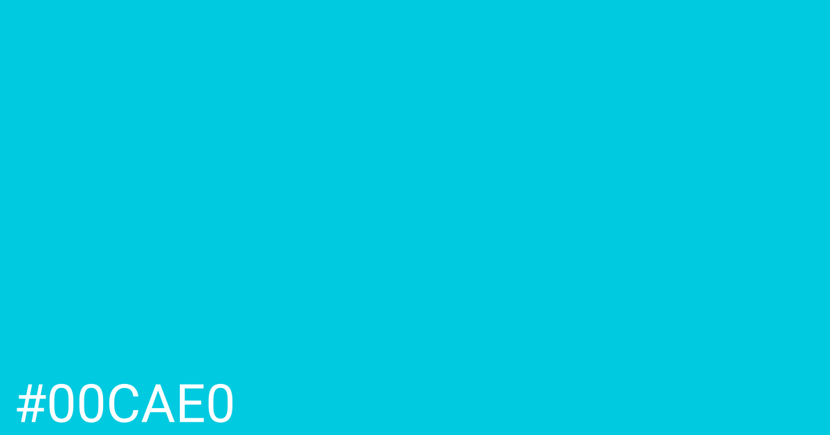 Hex color #00cae0 graphic
