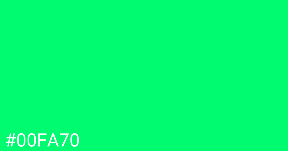 Hex color #00fa70 graphic