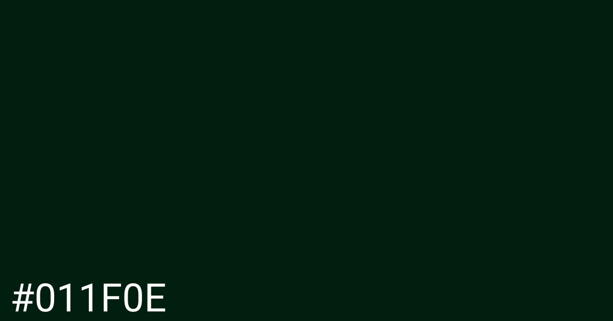 Hex color #011f0e graphic