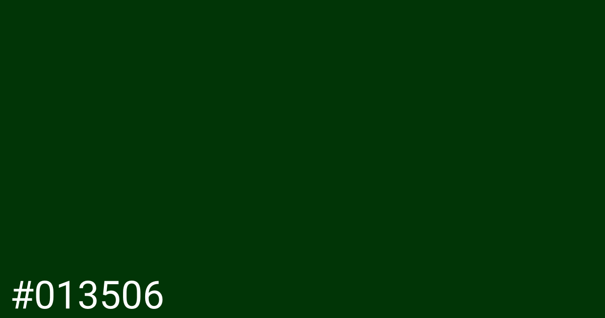 Hex color #013506 graphic