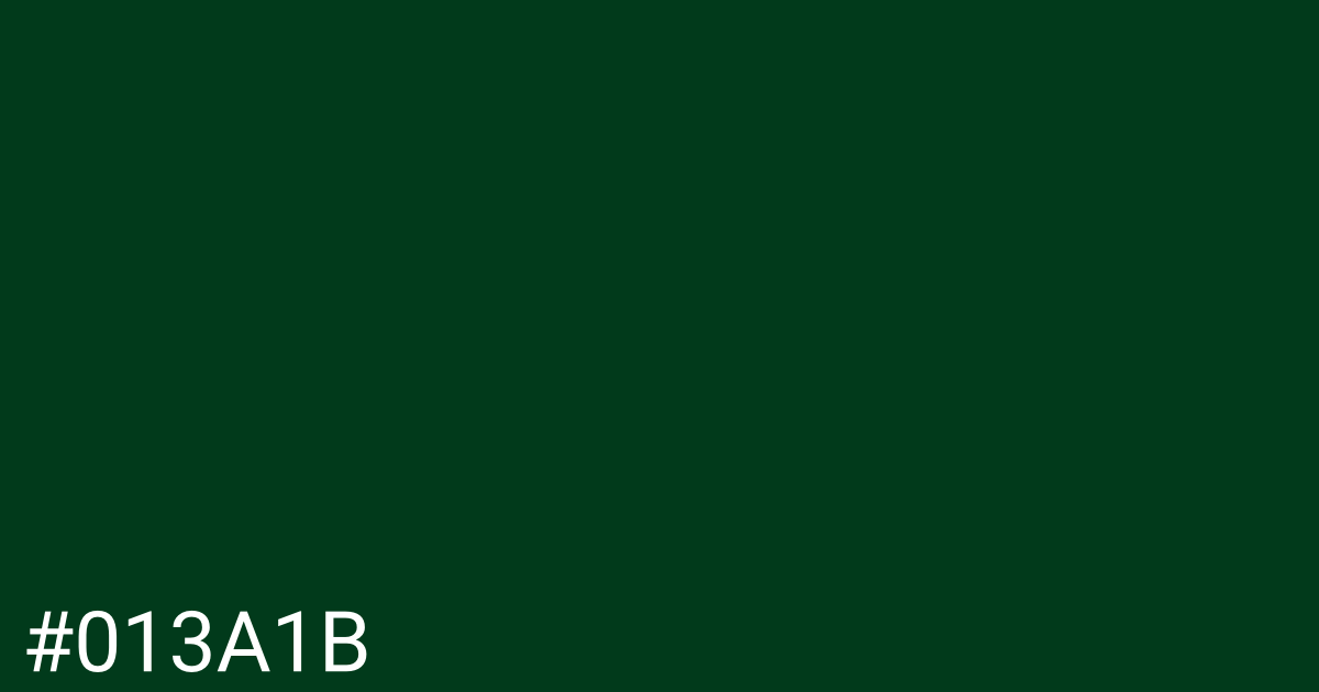 Hex color #013a1b graphic