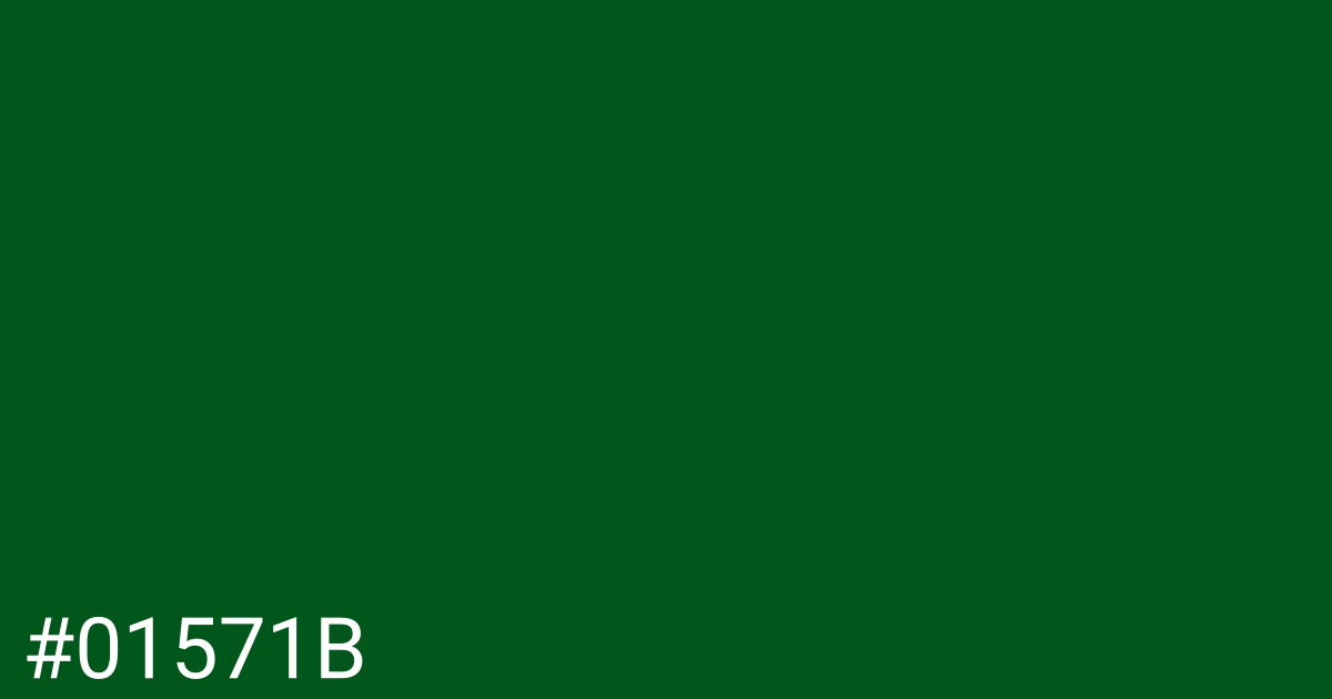 Hex color #01571b graphic