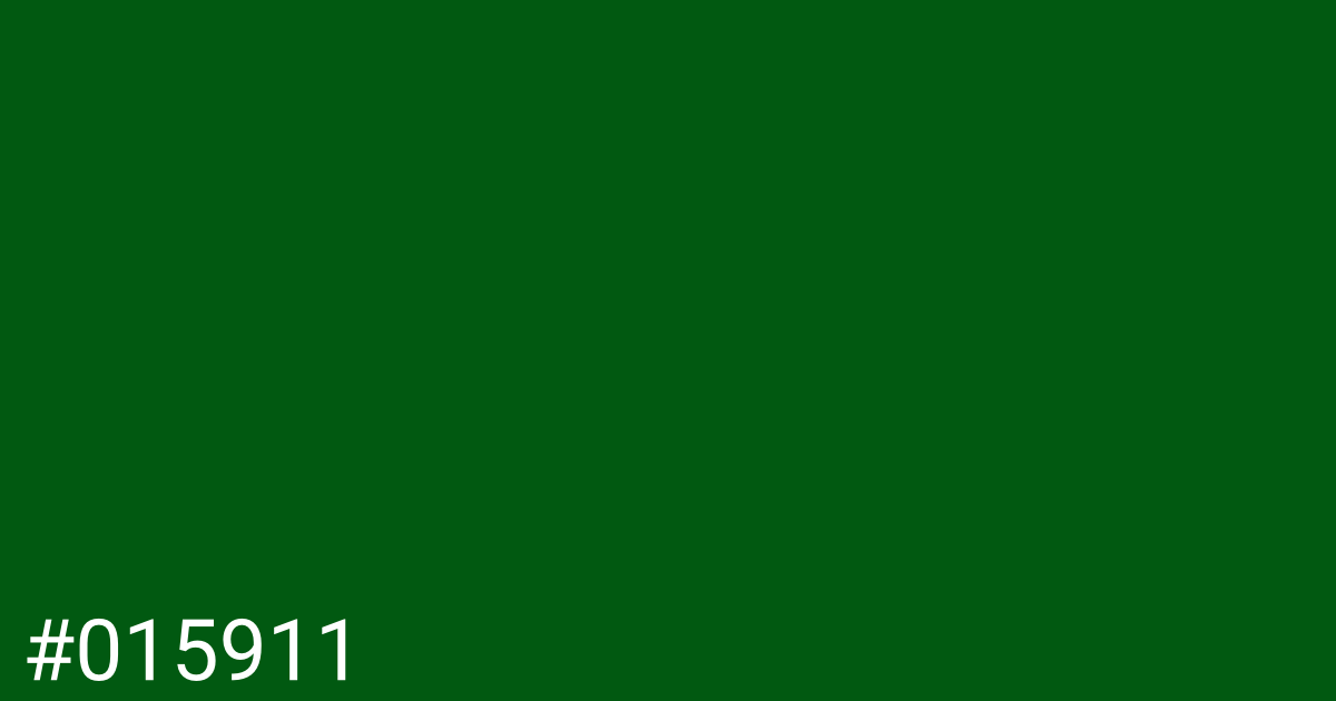 Hex color #015911 graphic