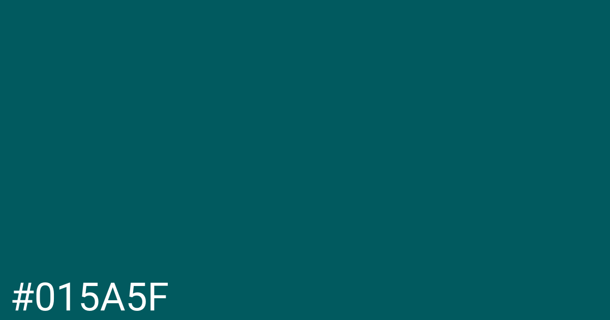 Hex color #015a5f graphic
