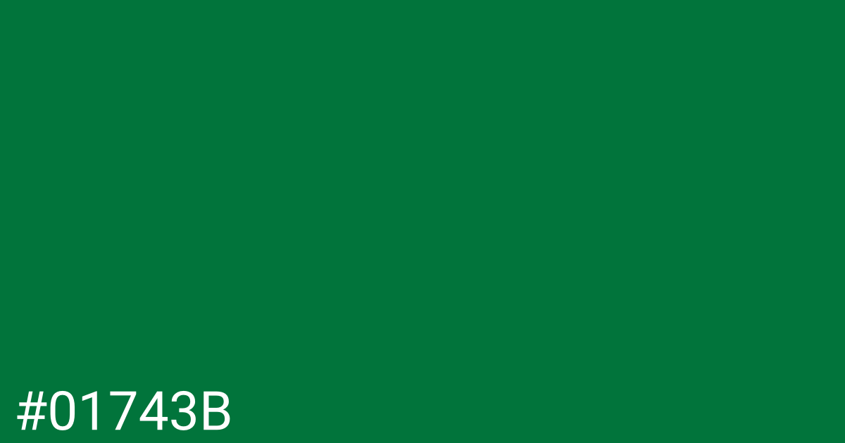 Hex color #01743b graphic