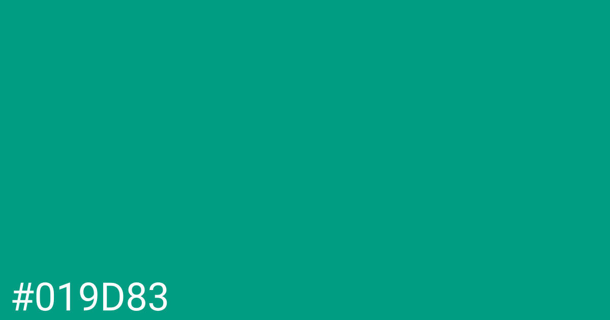 Hex color #019d83 graphic