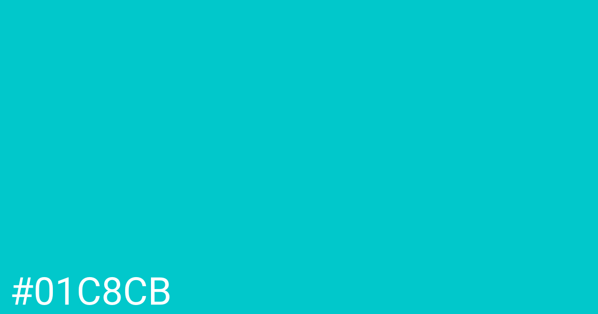 Hex color #01c8cb graphic