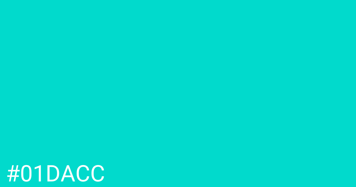 Hex color #01dacc graphic