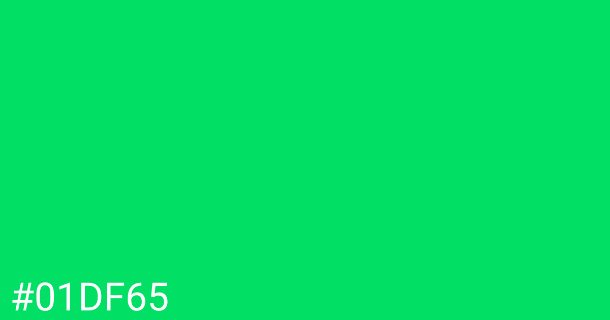 Hex color #01df65 graphic