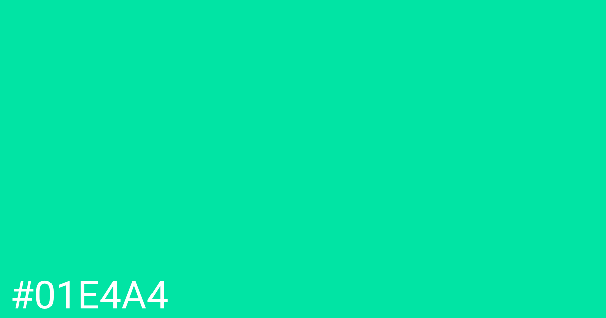 Hex color #01e4a4 graphic