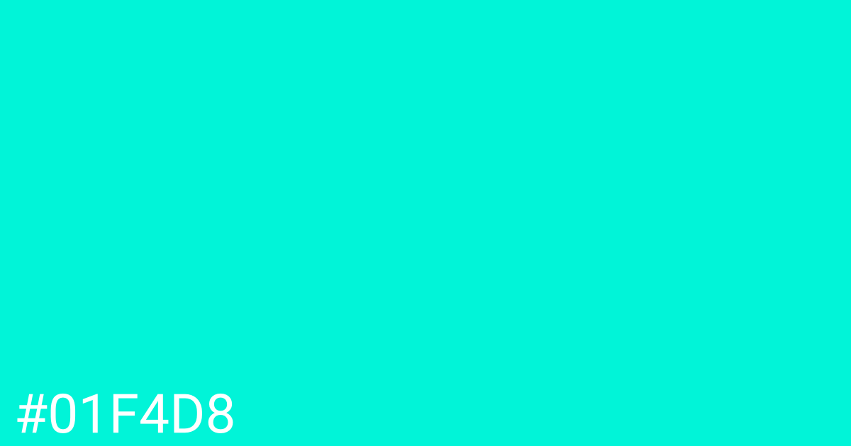 Hex color #01f4d8 graphic