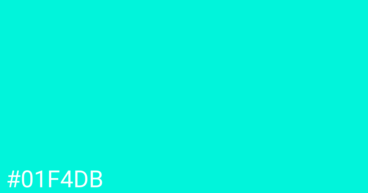 Hex color #01f4db graphic