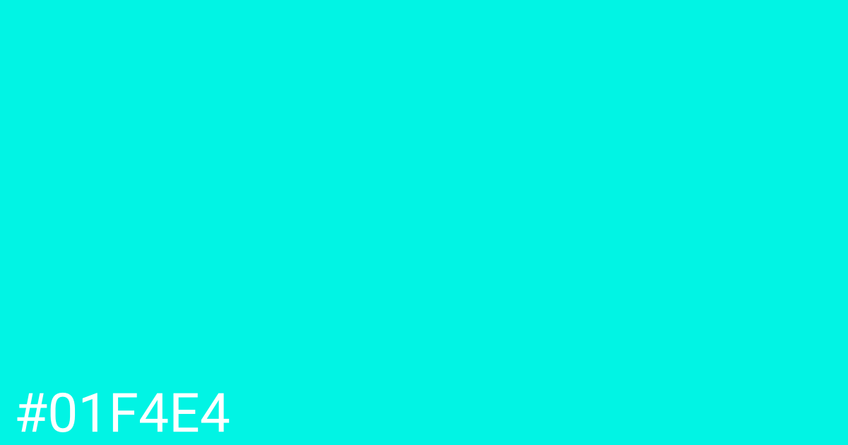 Hex color #01f4e4 graphic