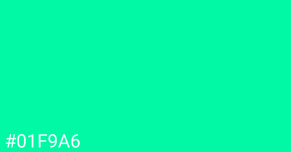 Hex color #01f9a6 graphic