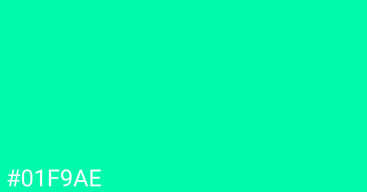 Hex color #01f9ae graphic