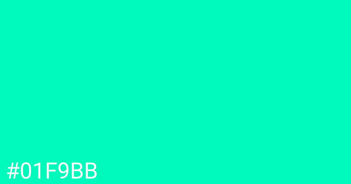 Hex color #01f9bb graphic