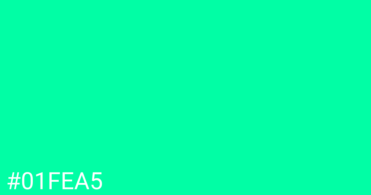 Hex color #01fea5 graphic