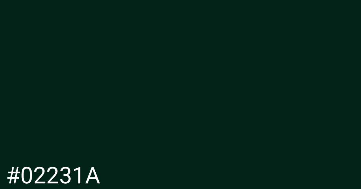 Hex color #02231a graphic