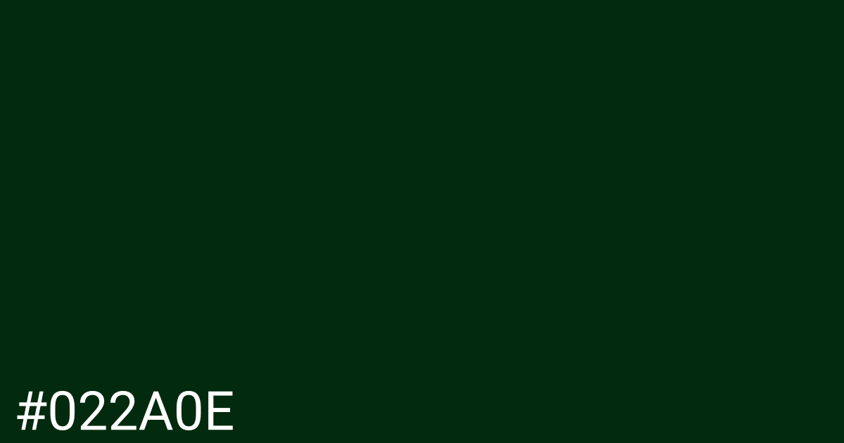 Hex color #022a0e graphic