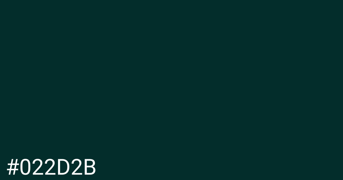 Hex color #022d2b graphic