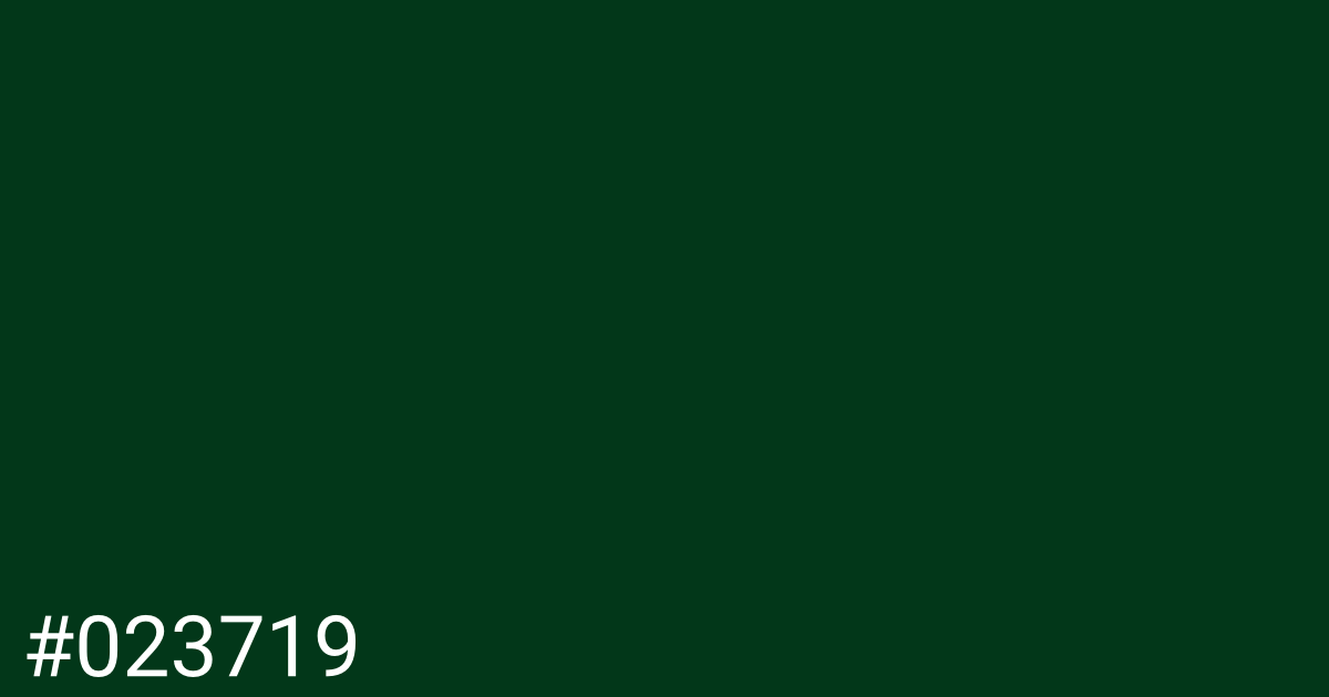 Hex color #023719 graphic