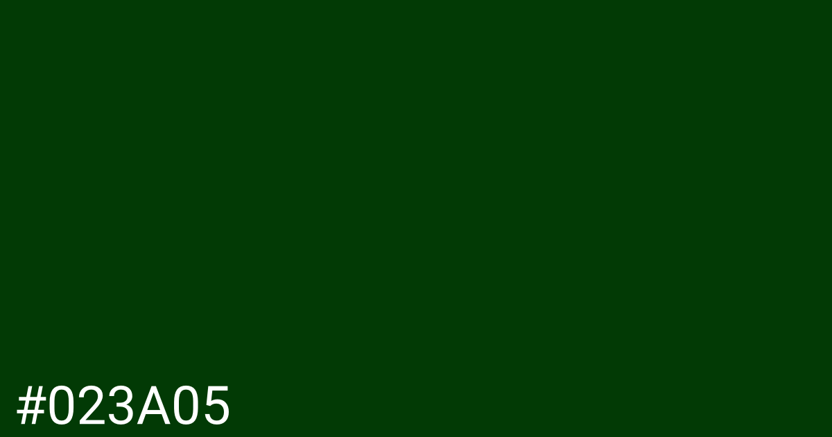 Hex color #023a05 graphic