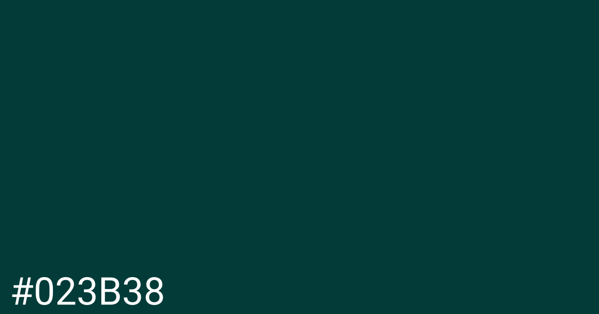 Hex color #023b38 graphic