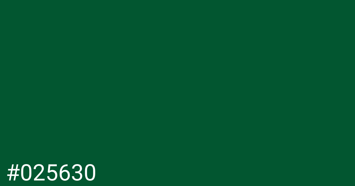 Hex color #025630 graphic