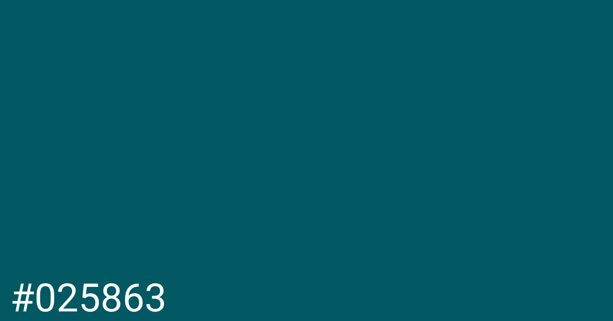 Hex color #025863 graphic