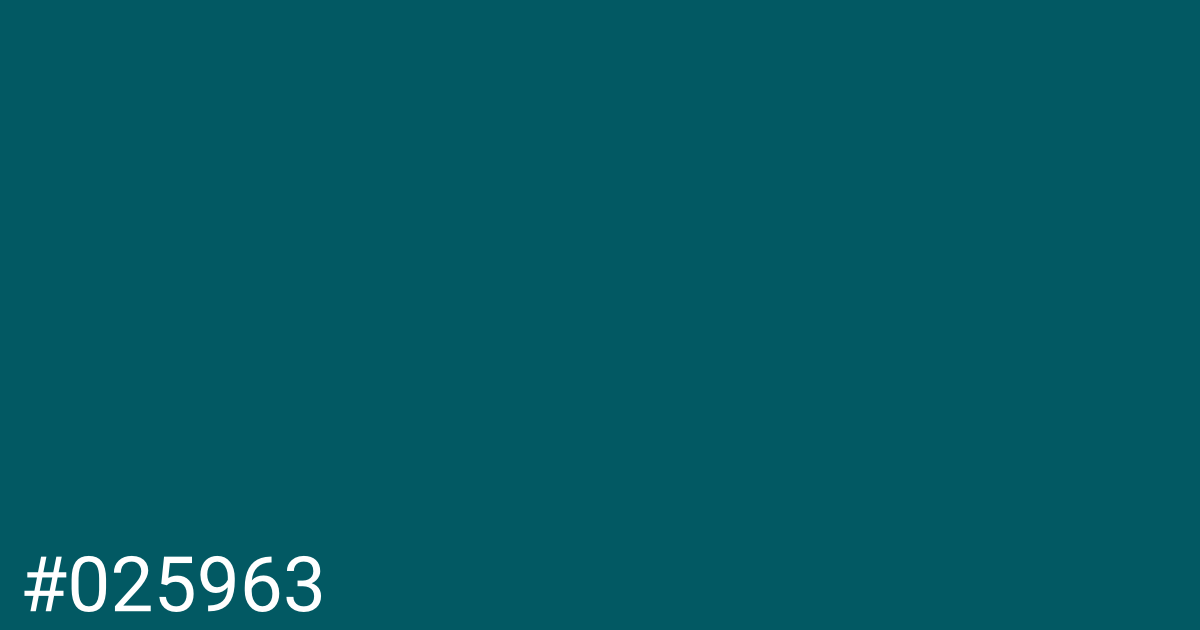 Hex color #025963 graphic