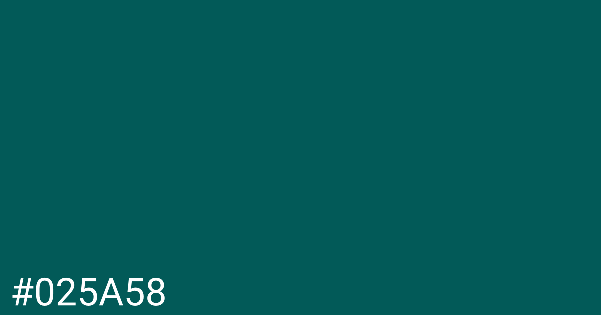 Hex color #025a58 graphic