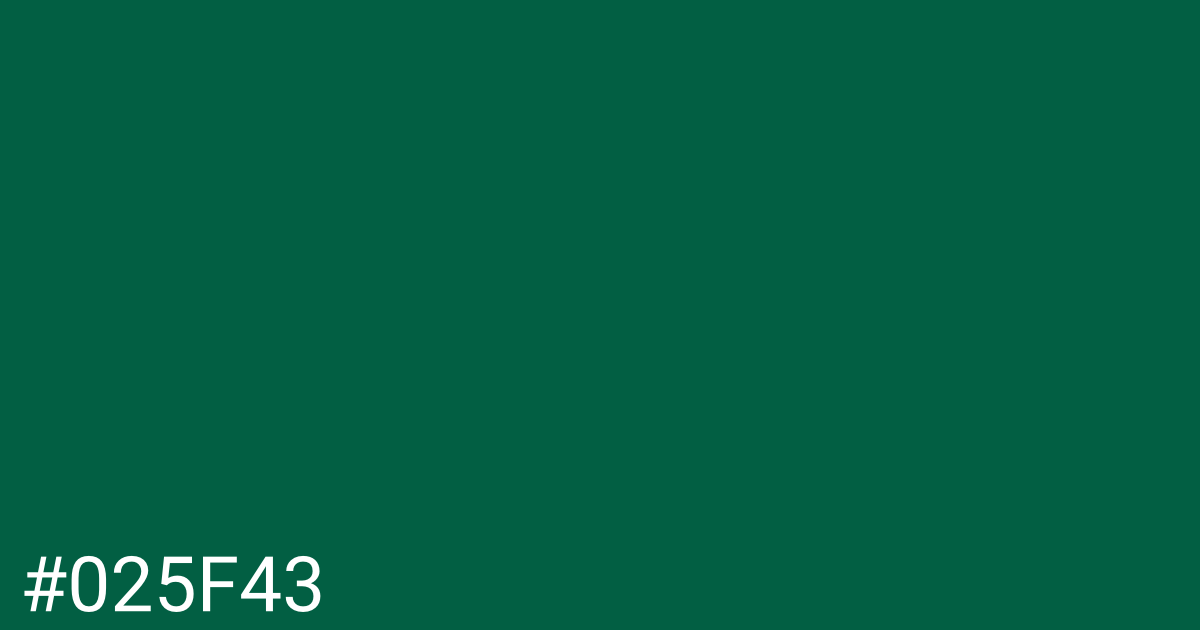 Hex color #025f43 graphic