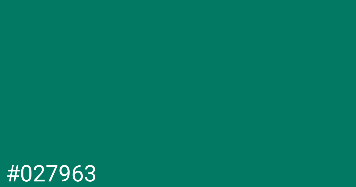 Hex color #027963 graphic