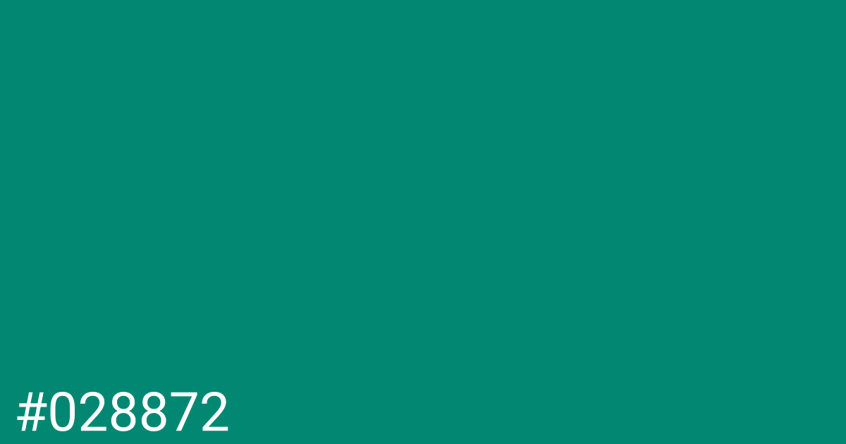 Hex color #028872 graphic