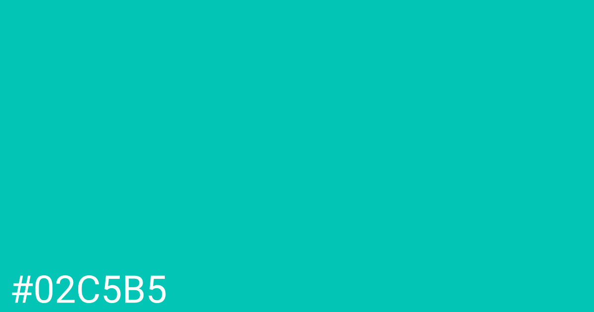 Hex color #02c5b5 graphic