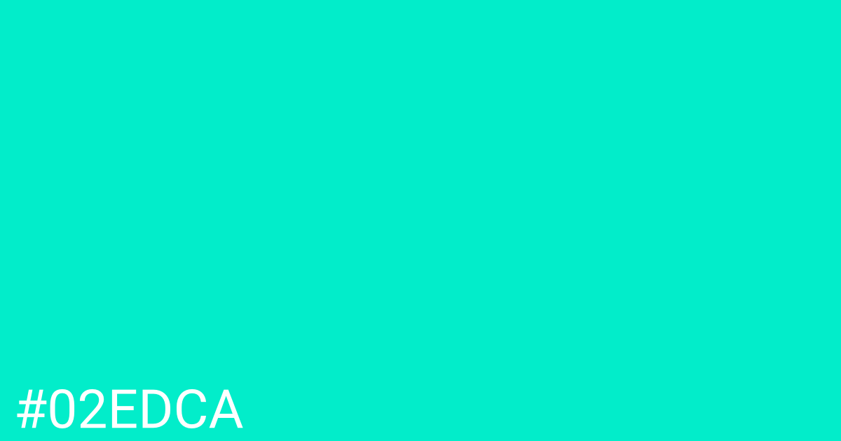 Hex color #02edca graphic