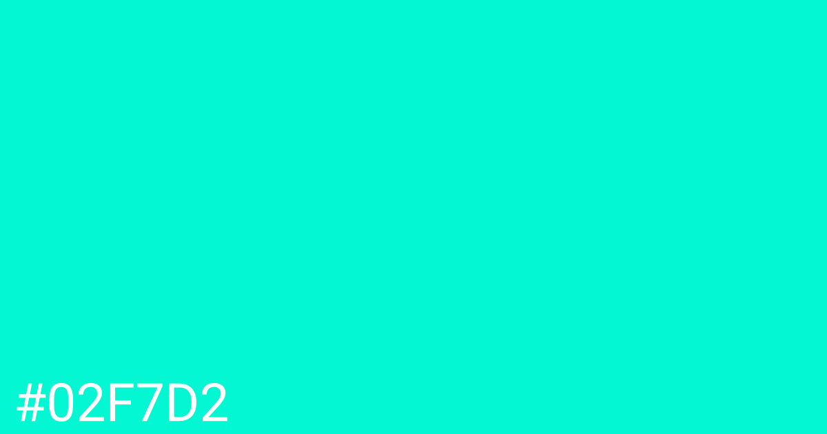 Hex color #02f7d2 graphic