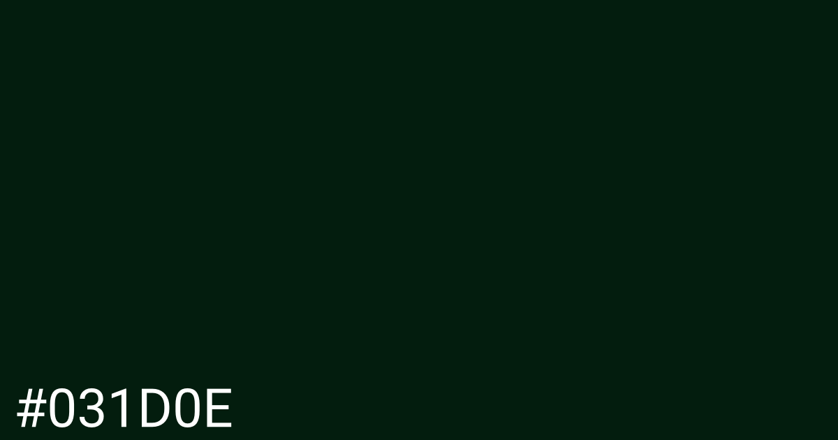 Hex color #031d0e graphic