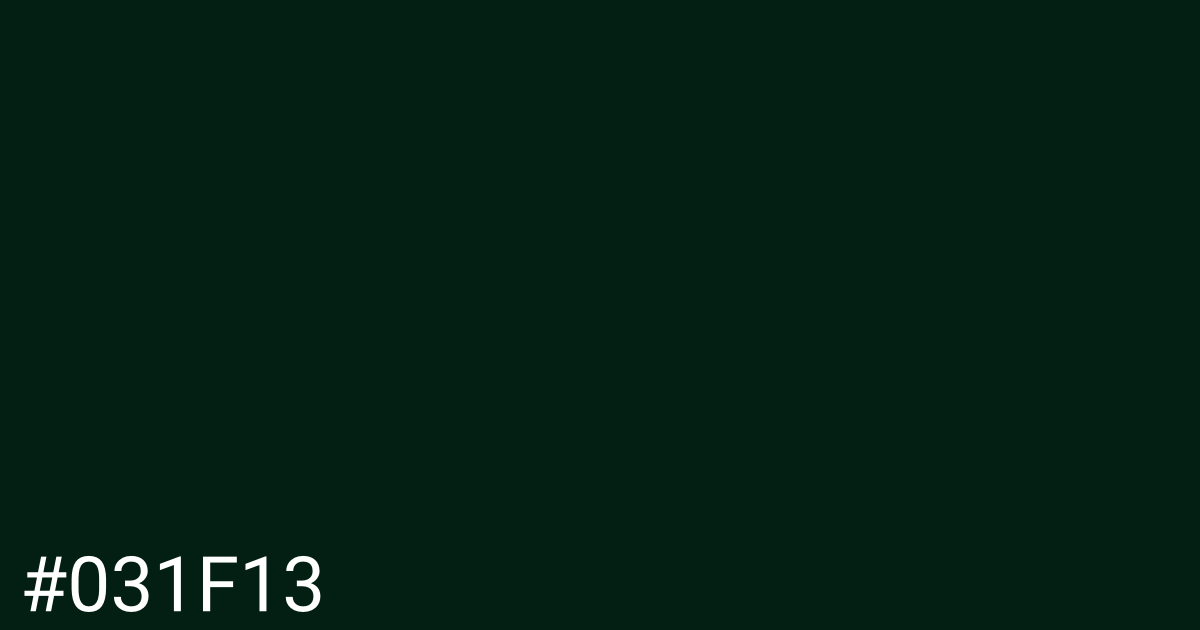 Hex color #031f13 graphic