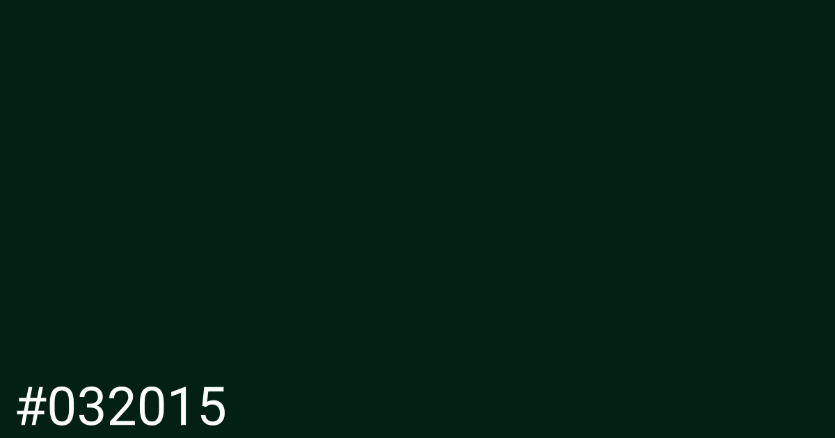 Hex color #032015 graphic