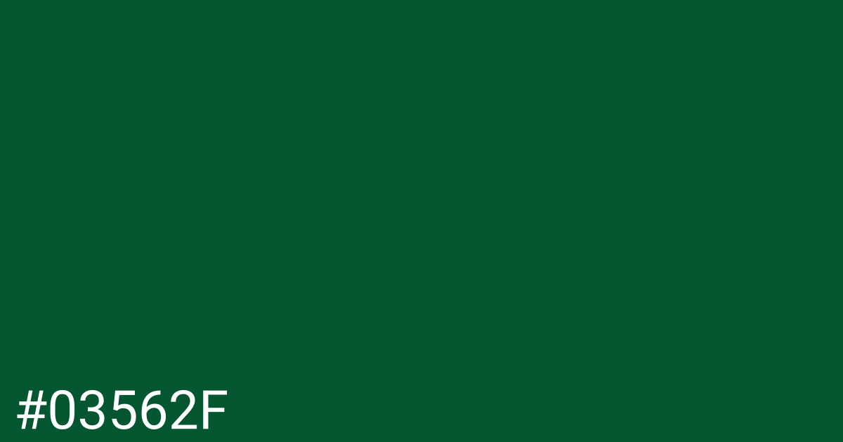 Hex color #03562f graphic