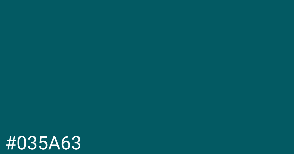 Hex color #035a63 graphic