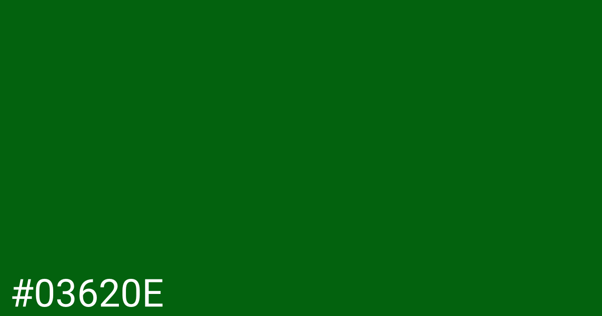 Hex color #03620e graphic