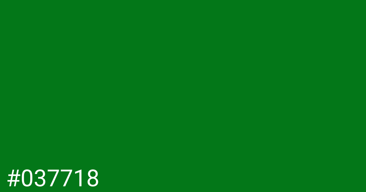 Hex color #037718 graphic
