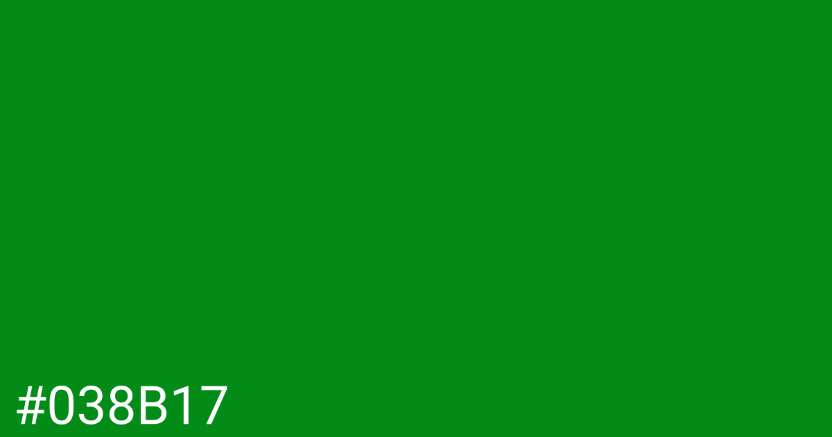 Hex color #038b17 graphic