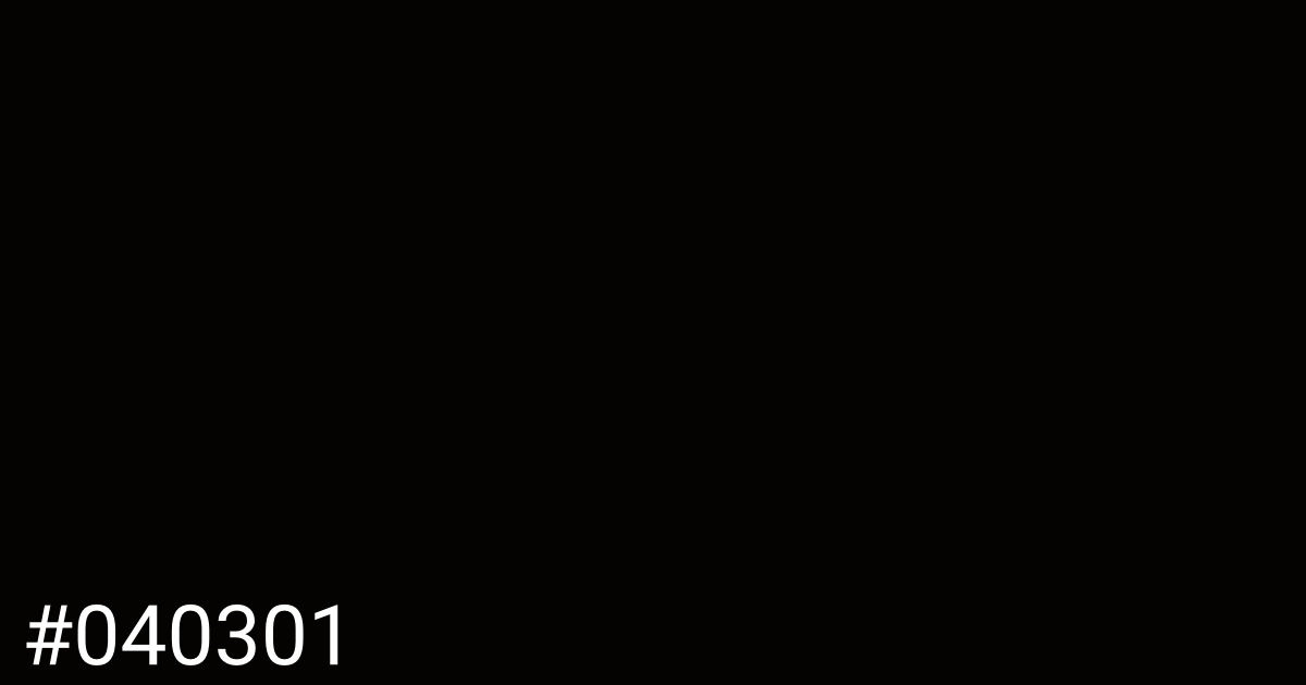 Hex color #040301 graphic