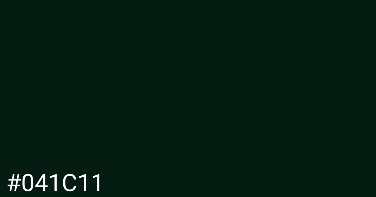 Hex color #041c11 graphic