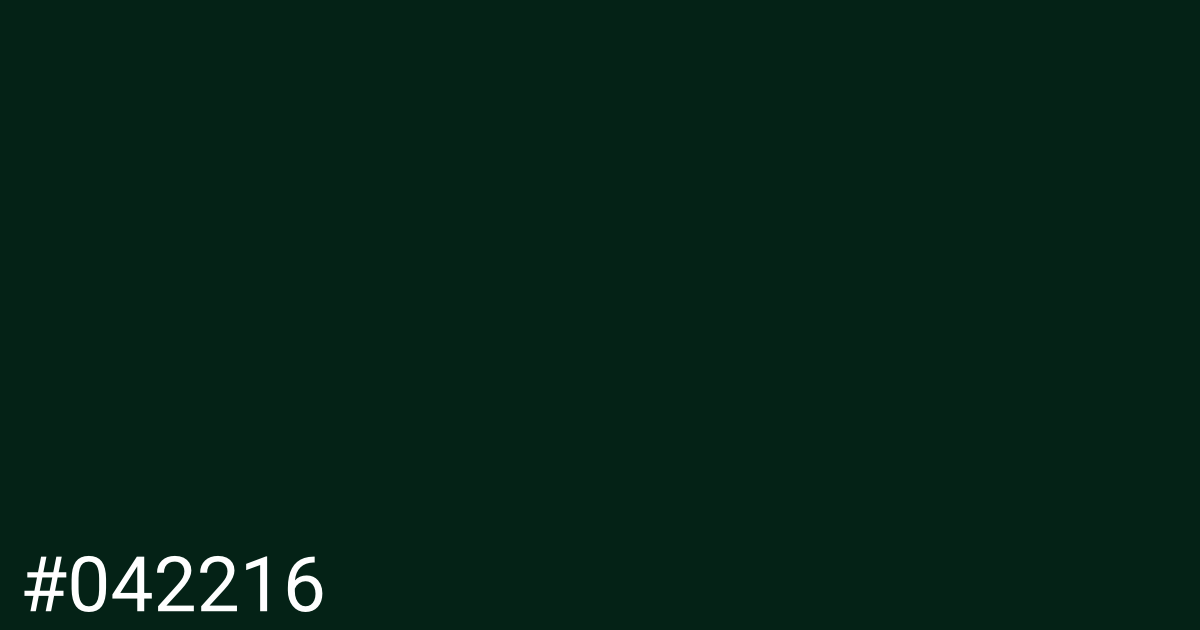 Hex color #042216 graphic