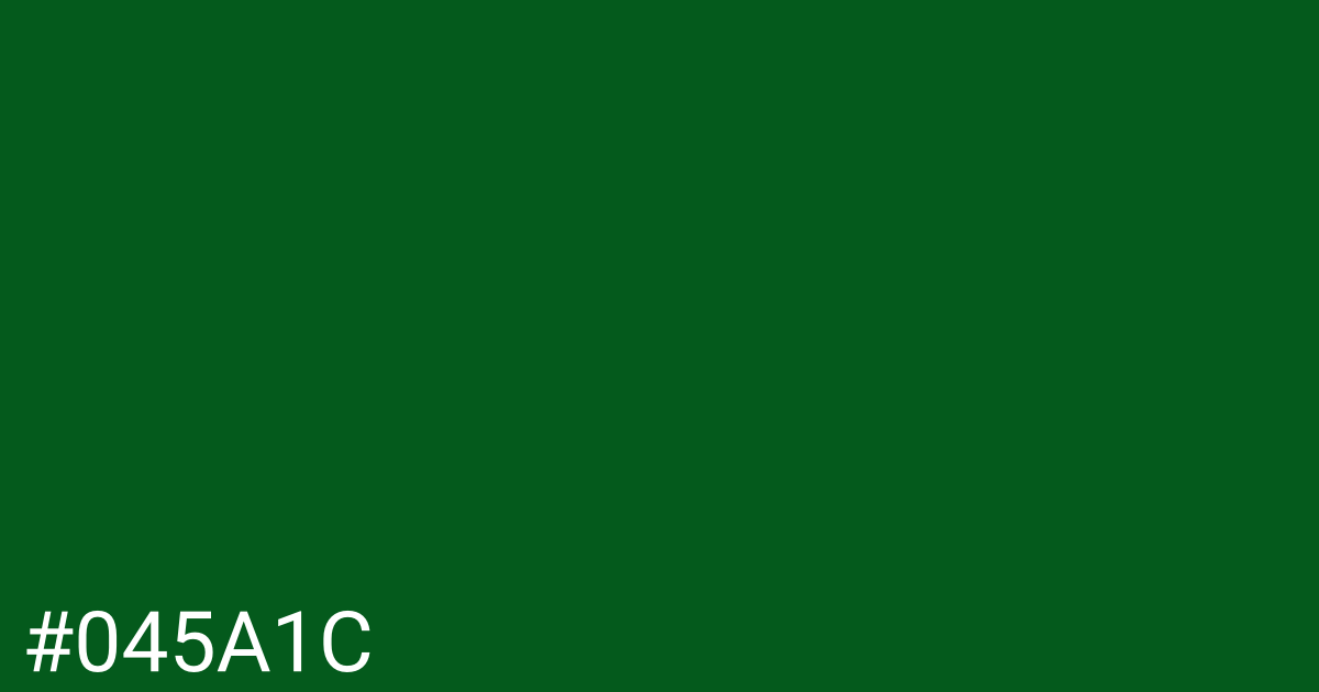 Hex color #045a1c graphic